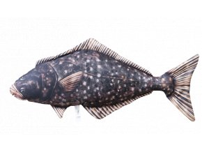 vyr 11672Halibut 72cm GP 780217 Hippoglossus 1 removebg preview removebg preview