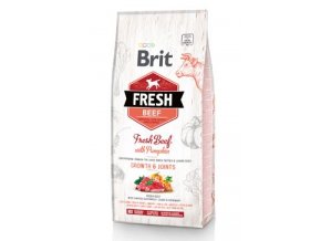 Brit Fresh Dog Beef & Pumpkin Puppy Large 2,5kg