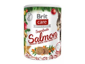 Brit Care Christmas Cat Superfruits 100 g