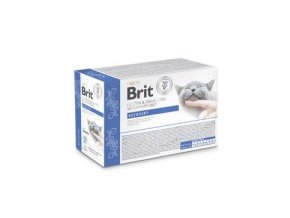 Brit VD Cat Pouch fillets in Gravy Recovery 12x85g