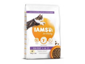 Iams Cat Kitten Chicken 10kg