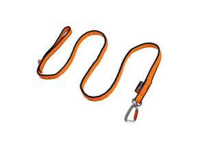 Bungee Leash | 2.8 m