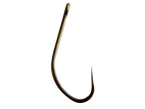 expert removebg preview