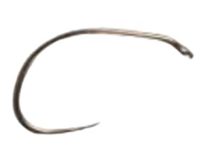 SC48 removebg preview