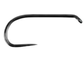 WF21 removebg preview