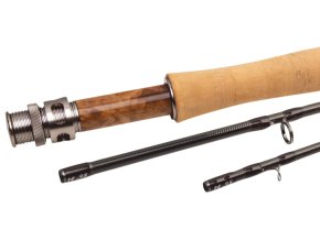 May Fly 1 removebg preview