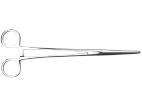 pean4 removebg preview