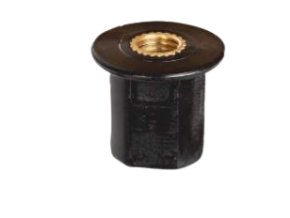 cotojer removebg preview