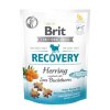 Brit Care Dog Functional Snack Recovery Herring 150g