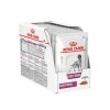 Royal Canin VD Canine Early Renal 12x100g kapsa