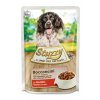 Stuzzy Dog kapsa Adult kousky hovězí 100g