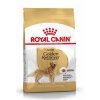 Royal Canin Breed Zlatý Retriever  