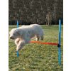 AGILITY překážka 3 tyče Modrá/Oranžová 129/115cm Trixie
