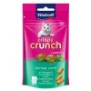 Vitakraft Cat pochoutka Crispy Crunch dental 60g