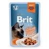 Brit Premium Cat D Fillets in Gravy With Turkey 85g