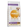 Iams Dog Puppy Large Chicken