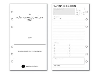 web plan npd w2000