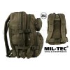 Batoh Mil Tec US Assault Large cca 36L Olivový