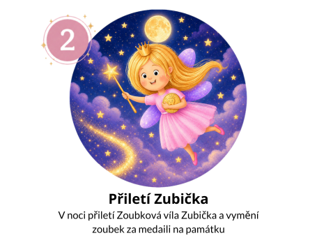 Přiletí Zubička