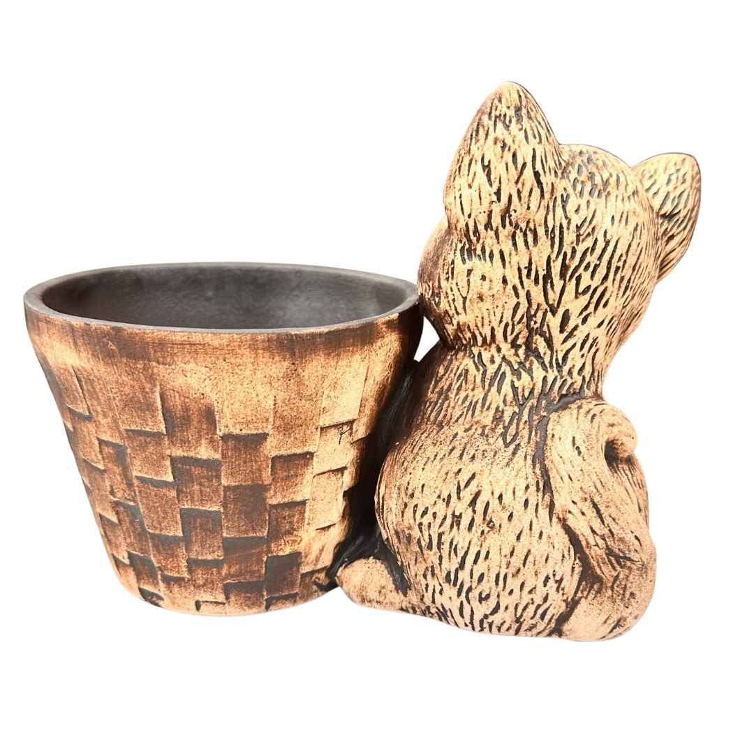 Kočka v zahradním prostředí