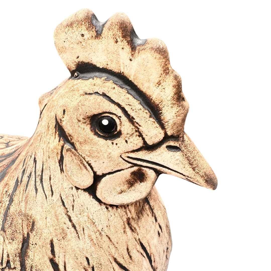 Mrazuvzdorná slepice Adina v zimním čase