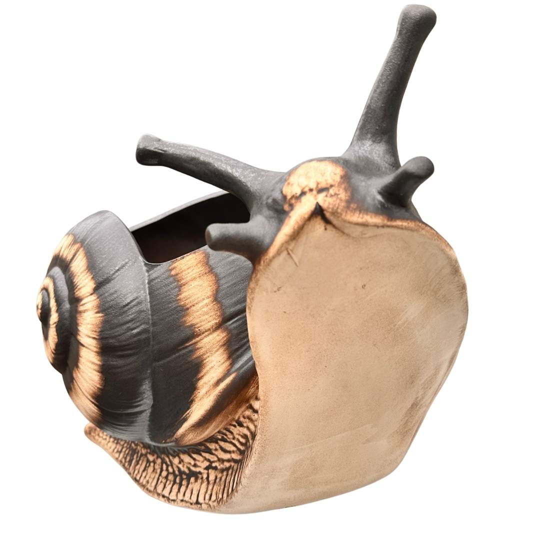 Zimní odolnost šneka Sajtna