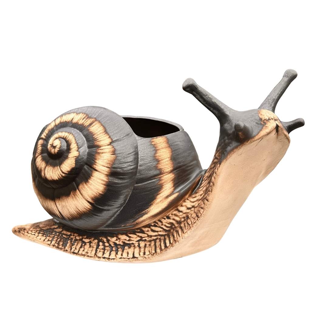 Šnek Sajtn v letní zahradě