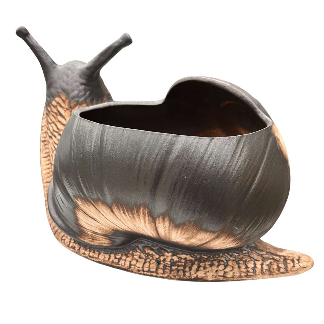 Detailní textura šneka Sajtna