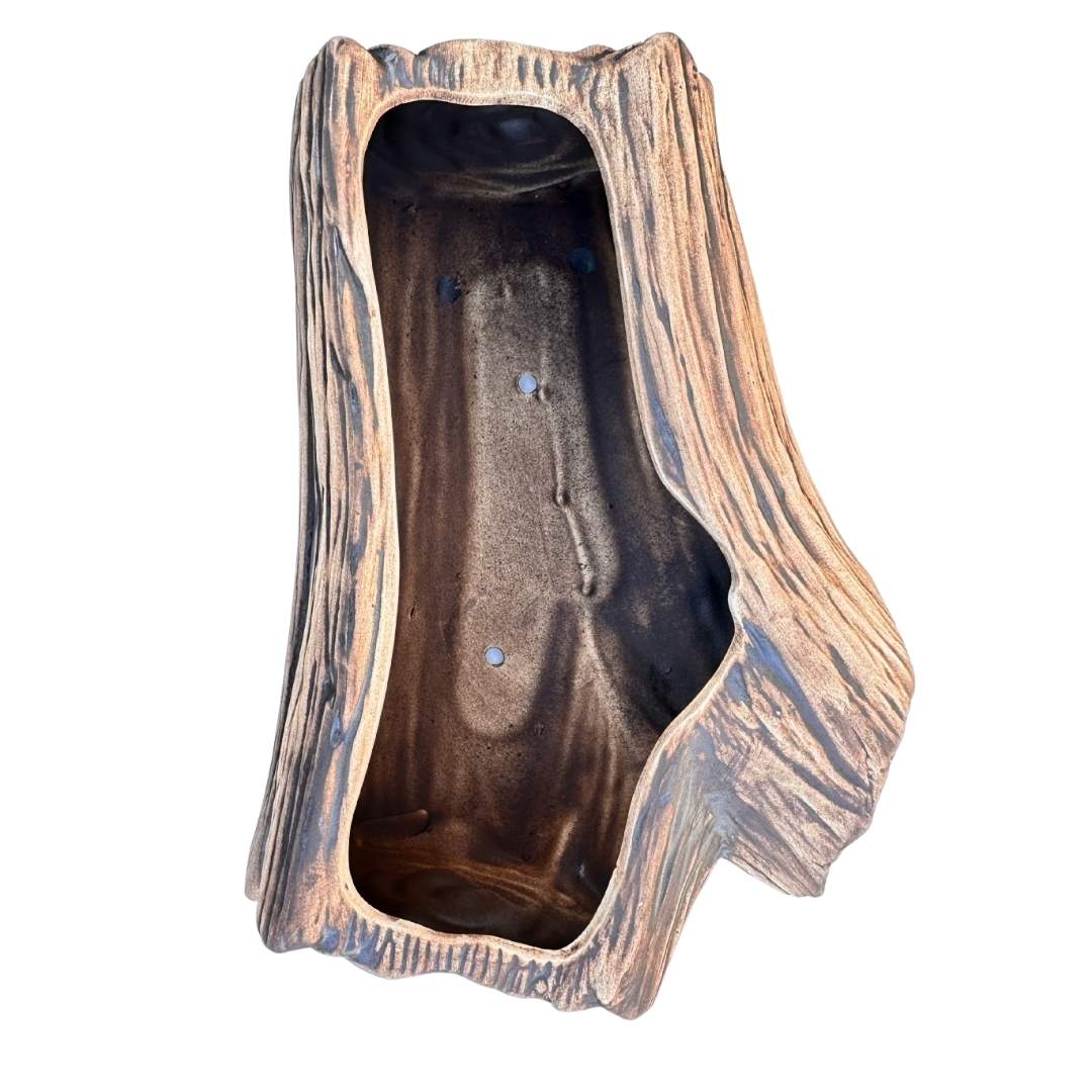 Pohled na osazovací prostor větve