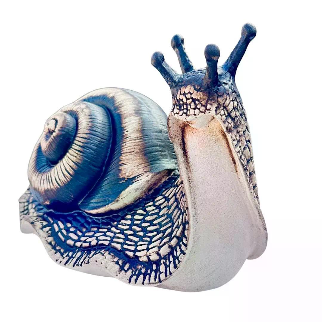 Detail šneka Barnabáše