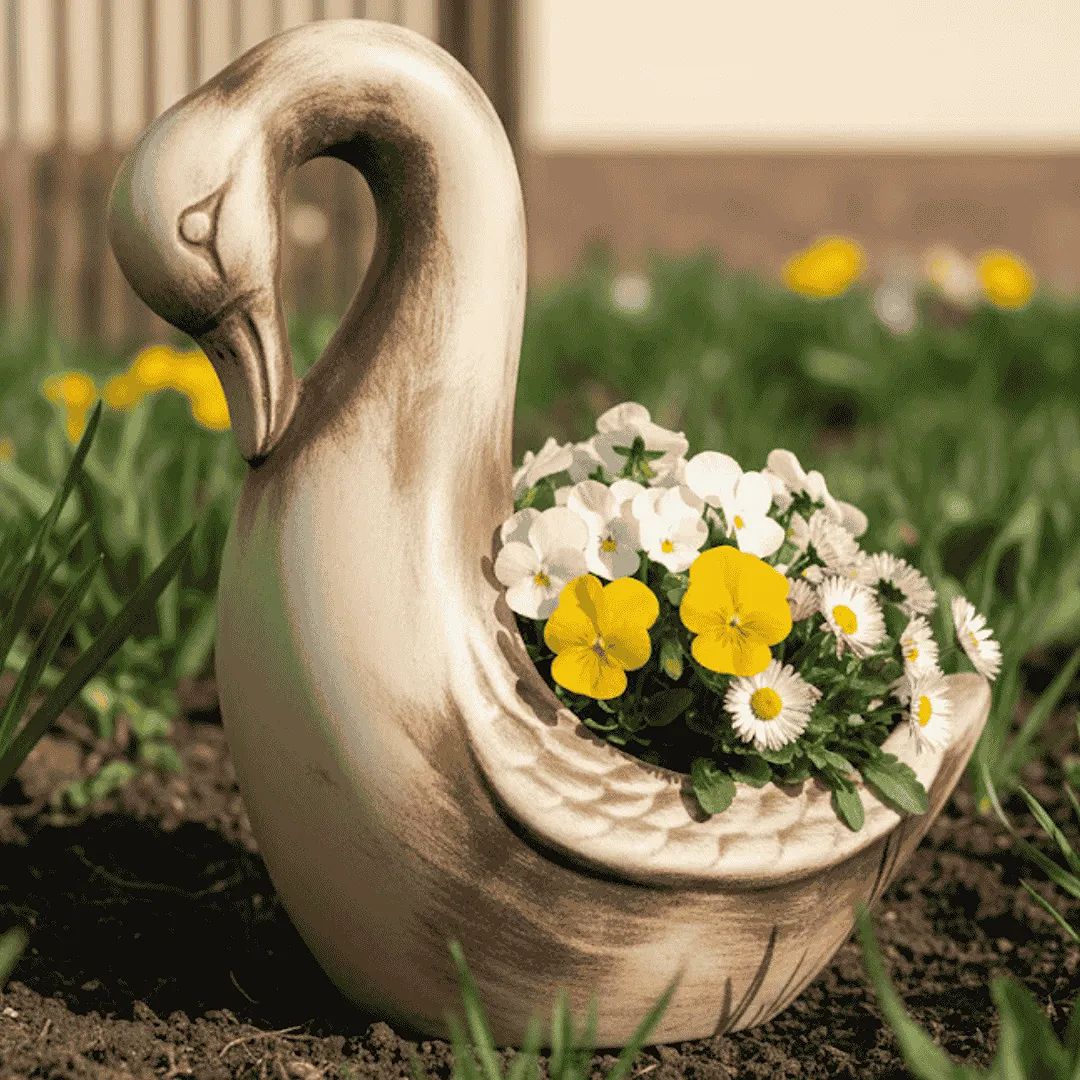 Husa Miluše v jarním aranžmá