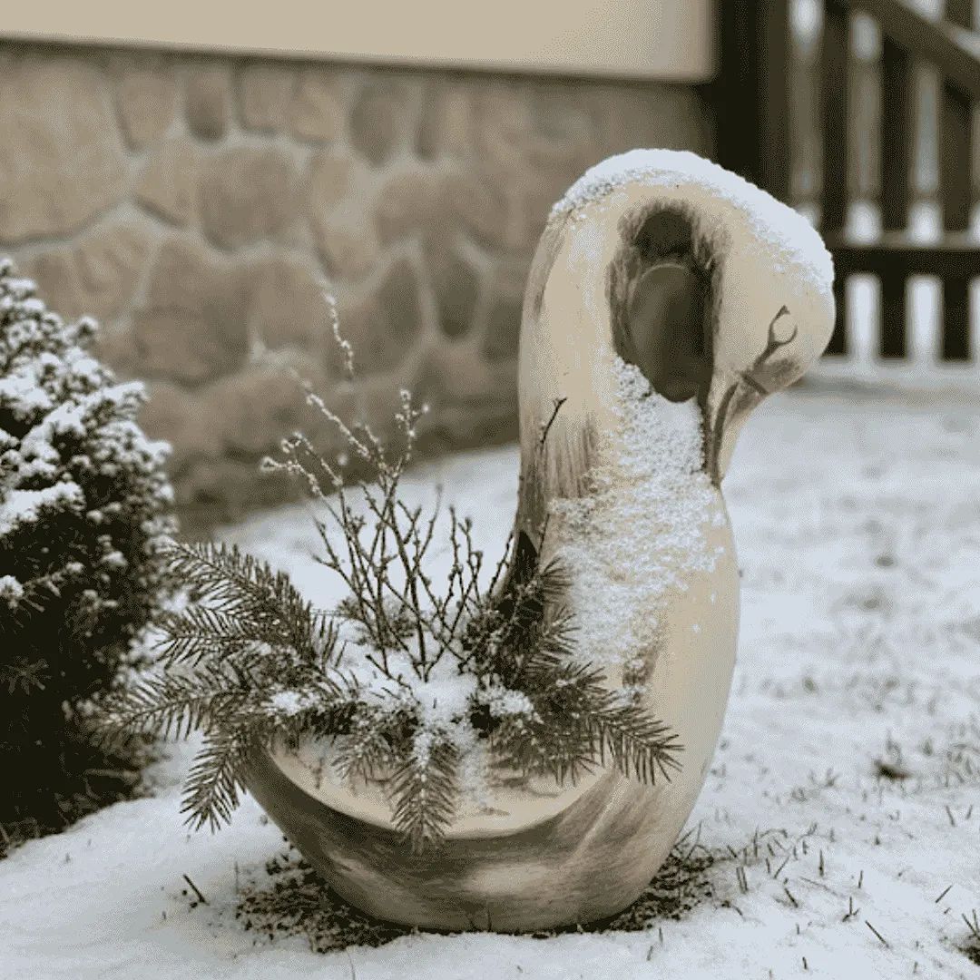 Husa Miluše v zimním období