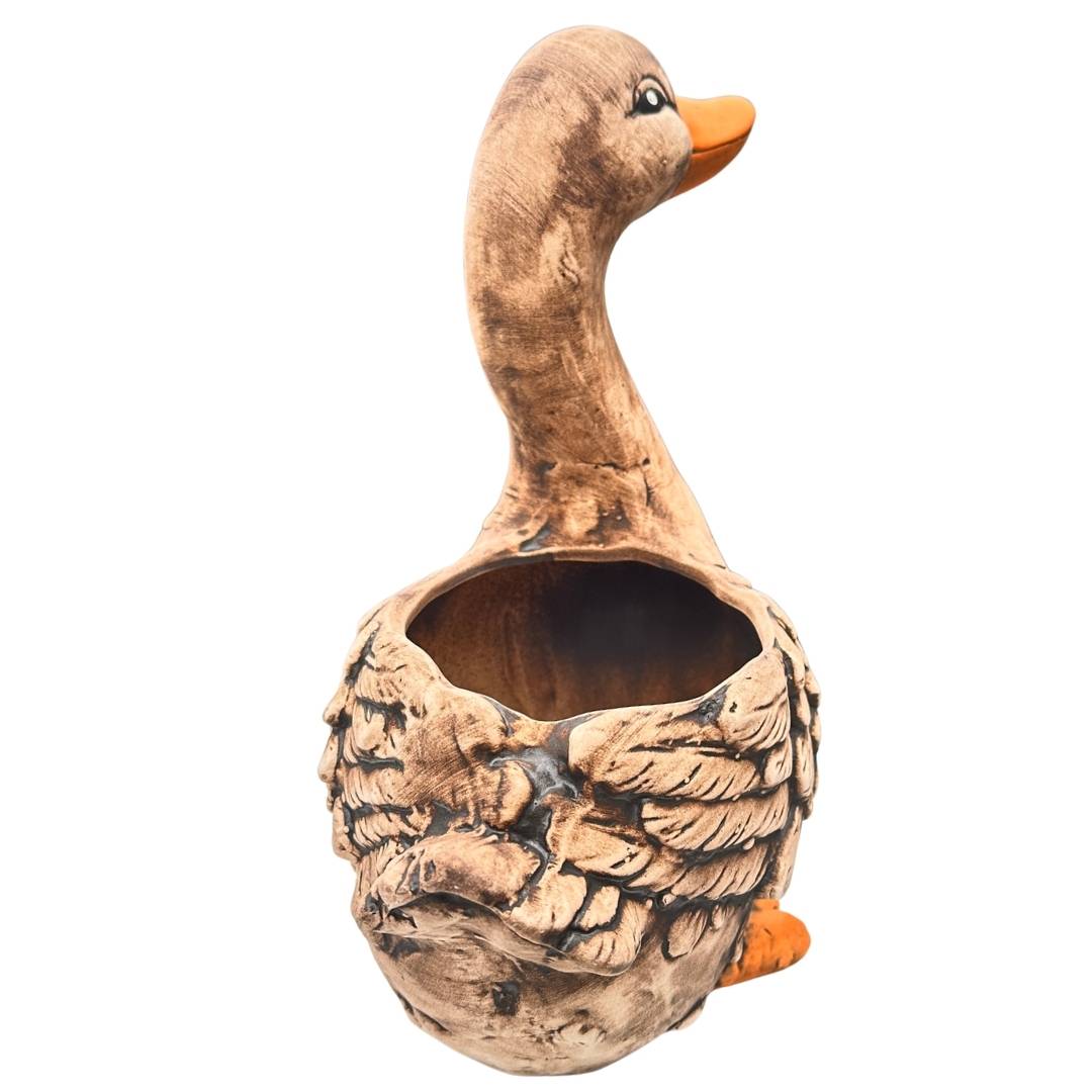 Detail kachny Aničky