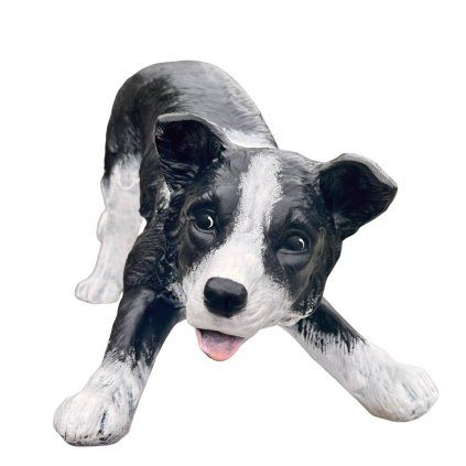 keramicka-border-kolie