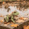 keramicka-dekorace-zaba-skokanka