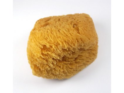 vyr 1190165 MAGNUM Myci morska karibska houba cca 14 16 cm