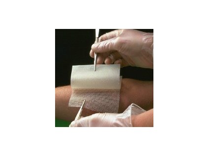 19960 bactigras antisept kryti s masti 15x1m 66007505 prom