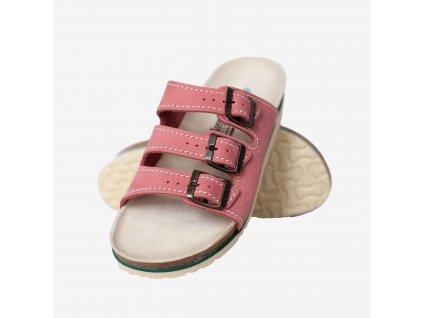 Hasel starorůžová (Rozměr 35)