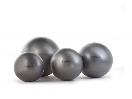 23767 gymball mic 55cm seda