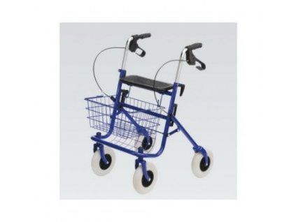 Chodítko (Doba pronájmu - cena za 1 den 1 den)