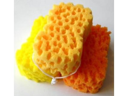 8732 magnum 144 myci houba ovalna