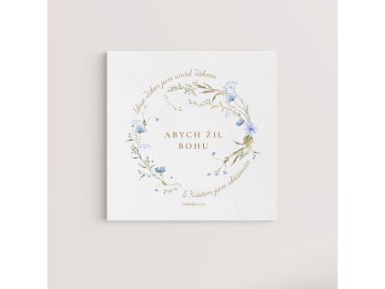 galatskym 2 19 wall front