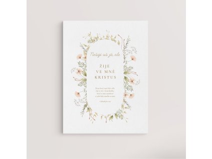 galatskym 2 20 wall front