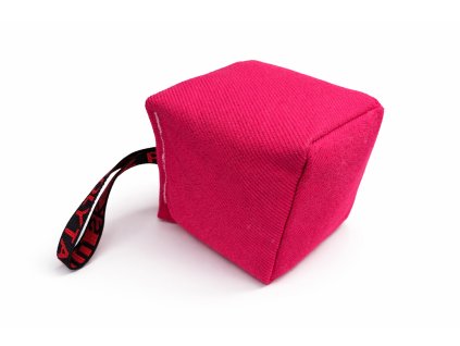 ChatGPT Image 13. 2. 2026, 19 29 52