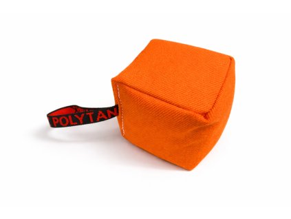 ChatGPT Image 13. 2. 2026, 20 17 14