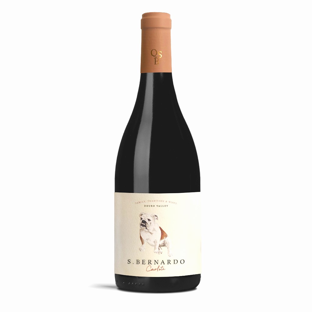 DT-S.-Bernardo-Carlota