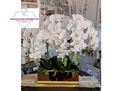orchidzlataaa2