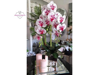 orchidbieloružová