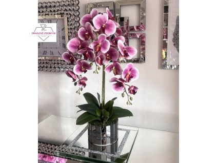 orchidvsivejzrkadlovejkrabicke