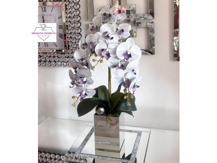 orchidbielofialova